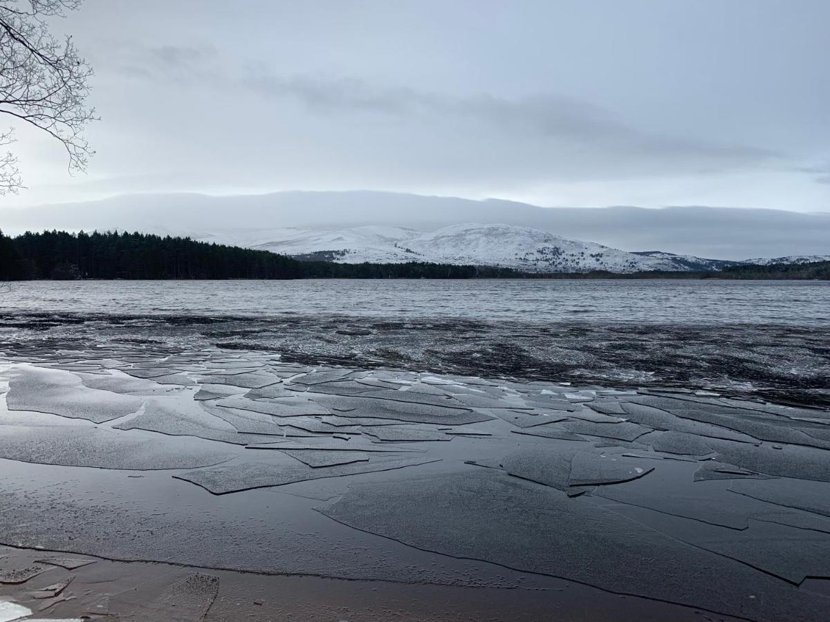 The One - Chalet In The Cairngorms Boat of Garten Dış mekan fotoğraf